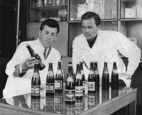 ragutis bukletas 005 gra