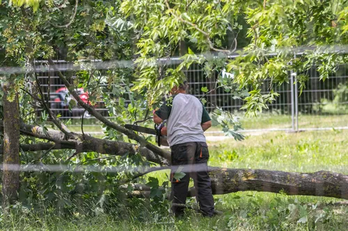 Naujų daugiabučių Kaune statybos