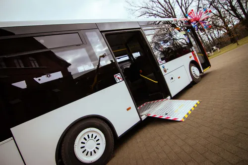 3 zemagrindziai autobusai