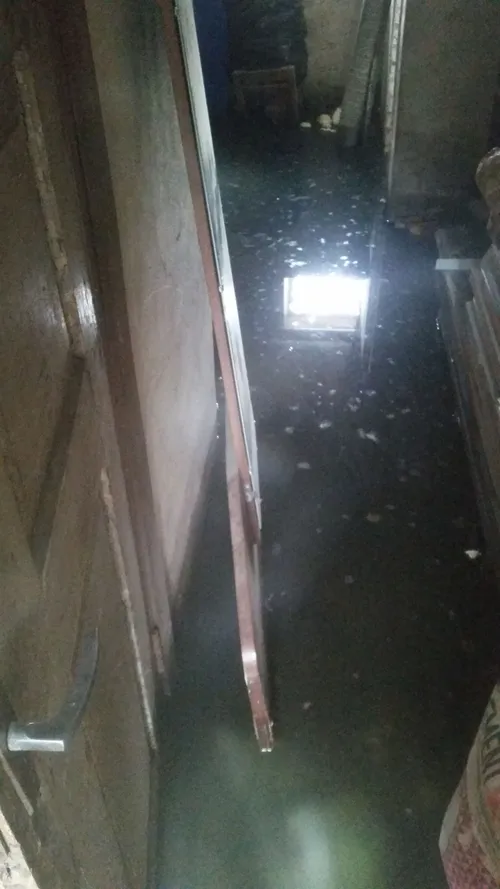 37044850 1866636413399759 5962868972968738816 n