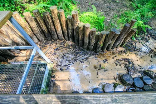 Didysis Lekėčių šaltinis