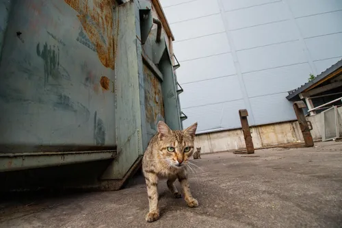 Ramučių gyventojų apsilankymas Kauno MBA