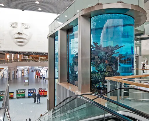 „Megos“ akvariumas