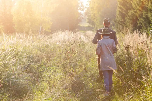 Elnių riaumojimas miške