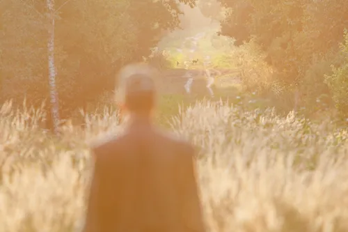 Elnių riaumojimas miške