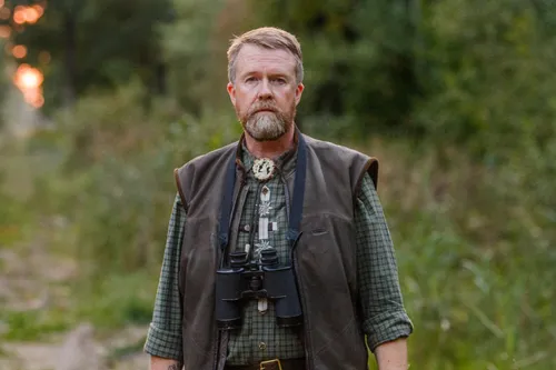 Elnių riaumojimas miške