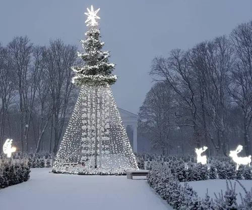 Jurbarko Kalėdų eglė