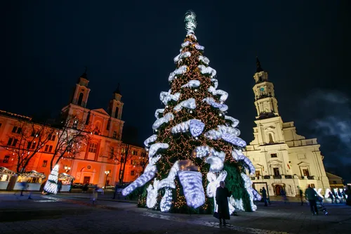 Kauno Kalėdinė eglė