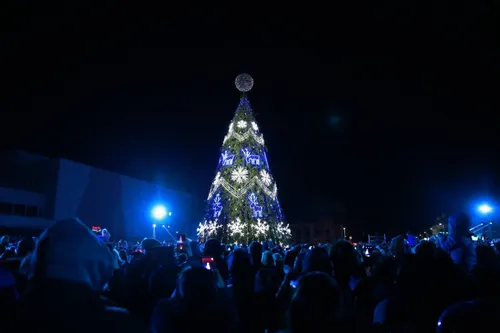 Marijampolės Kalėdų eglė