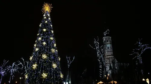 Šiaulių Kalėdų eglė