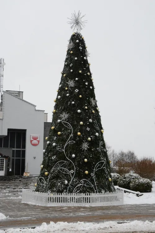 Šilalės Kalėdų eglė