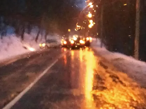 50313663 10209800863536550 7298781892843667456 n