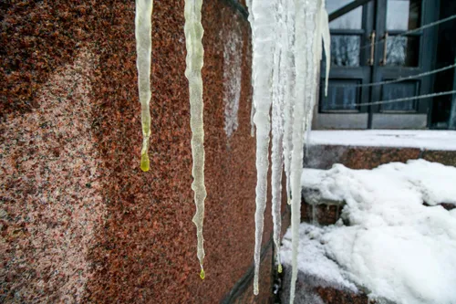 Varvekliai ant Kauno centrinio pašto