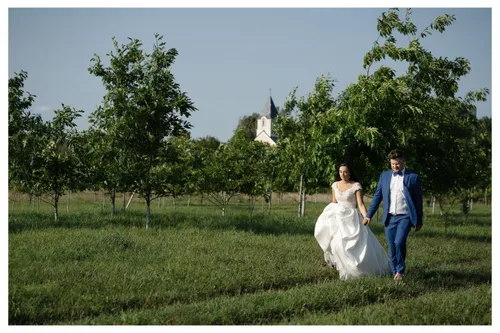 51381946 770135896691796 5085289472292028416 n