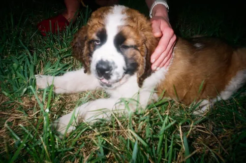 57154889 994743934063502 5065493044606795776 n