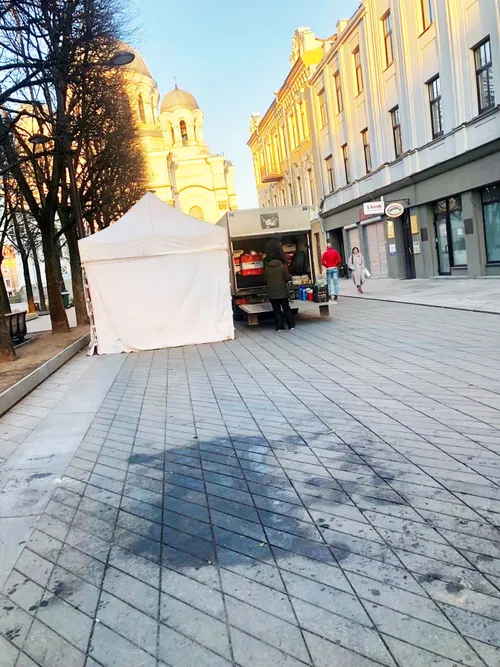 57240645 2272826599446561 252447719413514240 n