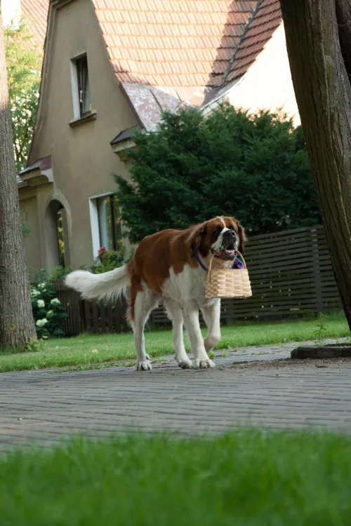 57284413 632359313853651 8610858392765857792 n