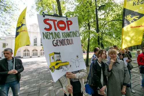 Gatvės Žemuosiuose Šančiuose projekto pristatymas