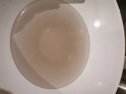 62595978 299165890989440 5122486839717920768 n