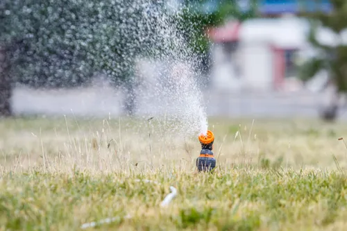 Vandens žarna, pievos laistymas, vanduo