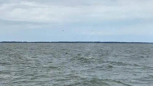 65513876 2486257341395485 2036490285638221824 n