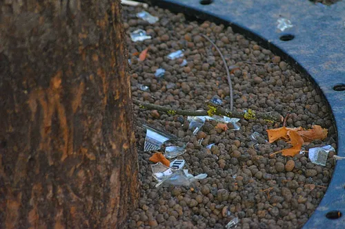 67793354 378518422853169 6387659294585651200 n