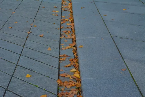 67892656 340808570134509 4087740080360259584 n