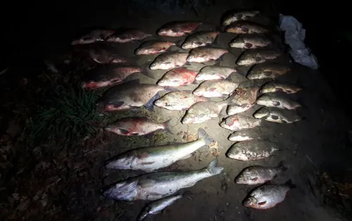 401 336e1177f0f1dd8cea20f86ac030e357