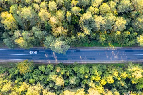 Kelias Kaunas-Prienai-Alytus