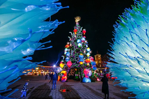 Kauno Kalėdų eglutė Rotušėje