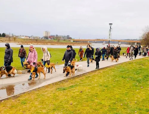 81726495 473984683314299 236964001534181376 o