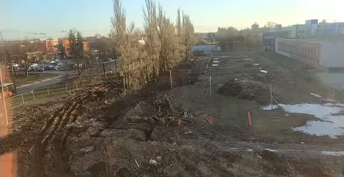 V. Krėvės prospekte iškirsti medžiai