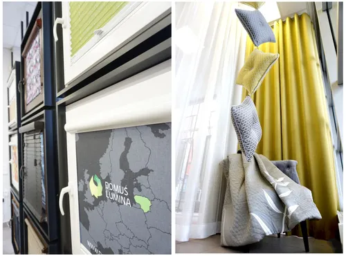 domus straipsnio viduje