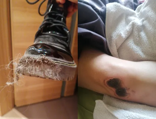 img 3077cca77e3a7d7bc7f1f65aa1812f4a v