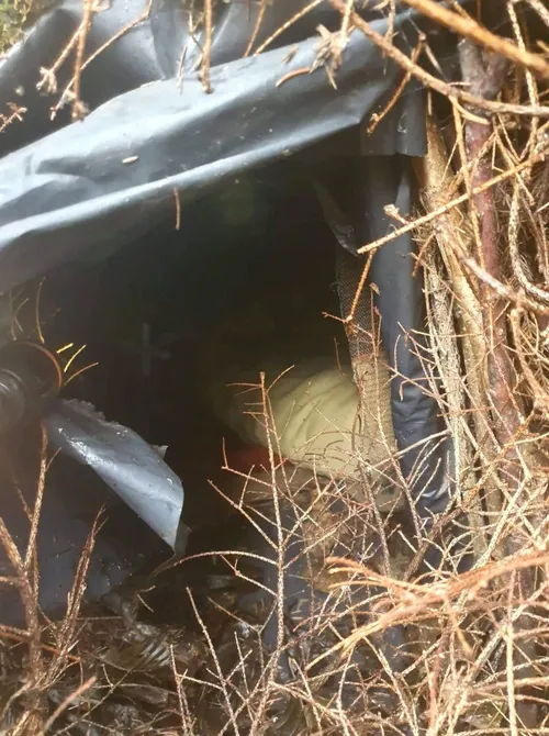 received 2584821475094513