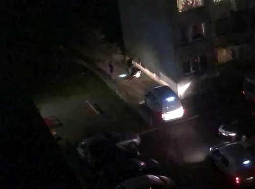 0ab9808a 9711 4f4e bf49 a9a2eb1bd861