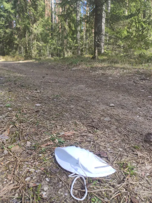 91873723 219491065783436 1738883411763789824 n