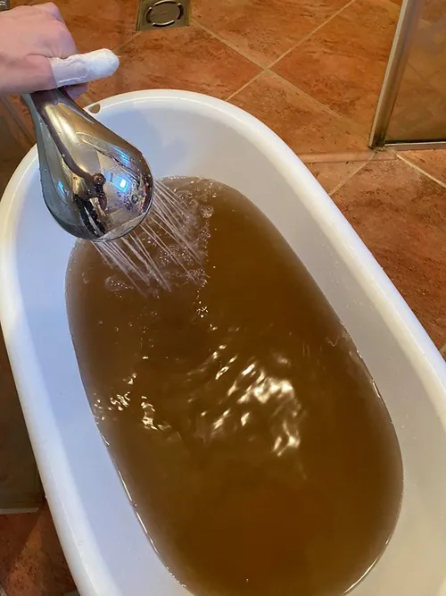 95644734 230026251618818 7020721930529406976 n