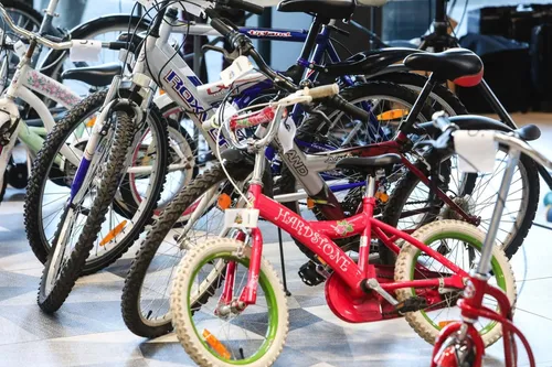 nauja dviraio eima 1