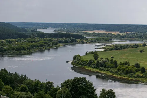 Nemuno kilpos ir keltas Vilkijoje
