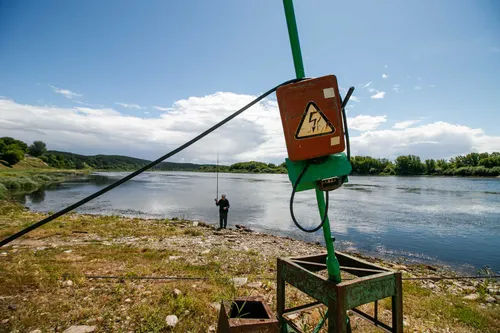 Nemuno kilpos ir keltas Vilkijoje