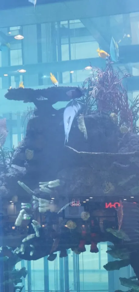 119009733 1206651916370631 5984143529660761218 n