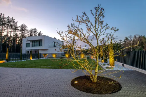 zelda str viduje scaled