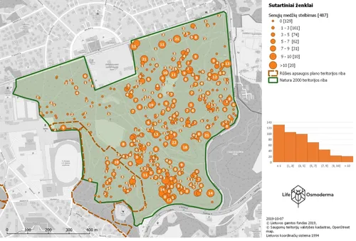 antrasis darb etapas