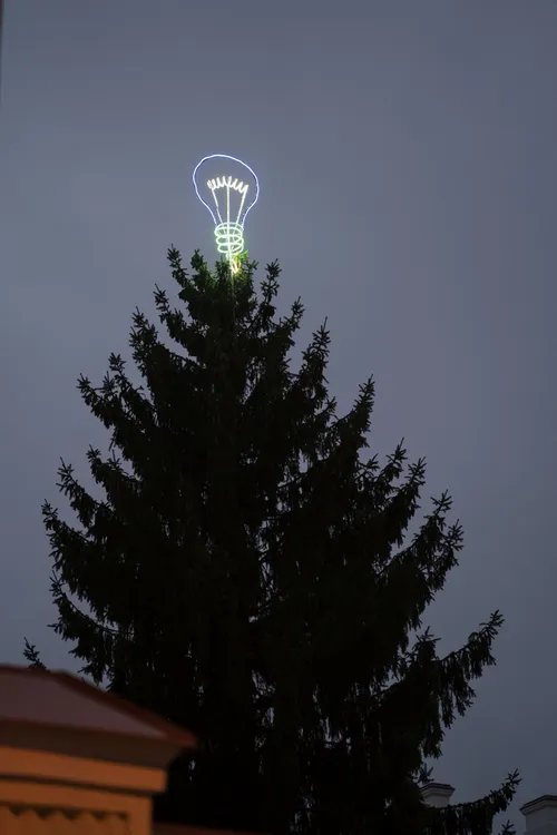 egl u nuotr gintaro iesonio 1