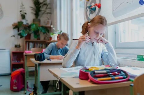 pazinimo medis str viduje antra