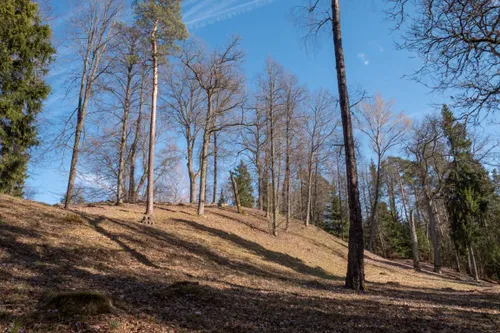 str svospiliakalnismedium