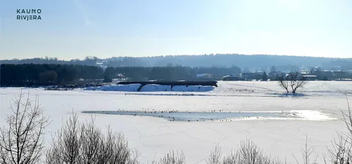 kauno rivjera kita neries upe2