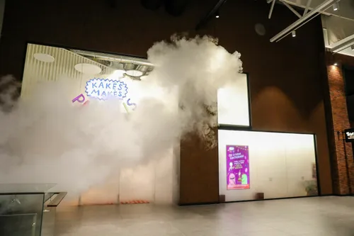 Dezinfekcinis rūkas / Organizatorių nuotr.