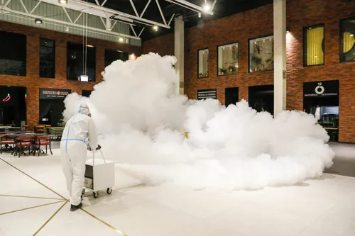 Dezinfekcinis rūkas / Organizatorių nuotr.